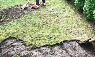 Снятие дерна старого газона в отрадном – от 510 руб. | 2Землекопа-Трд